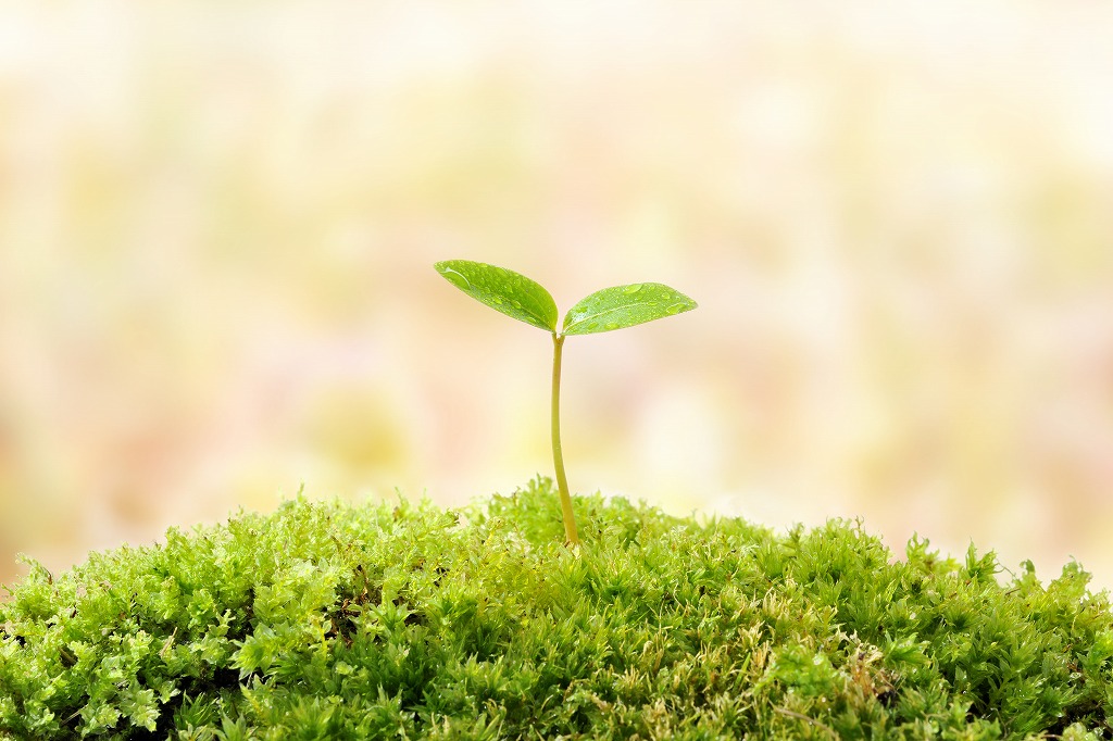 外構工事の仕事に適した人物像　　　