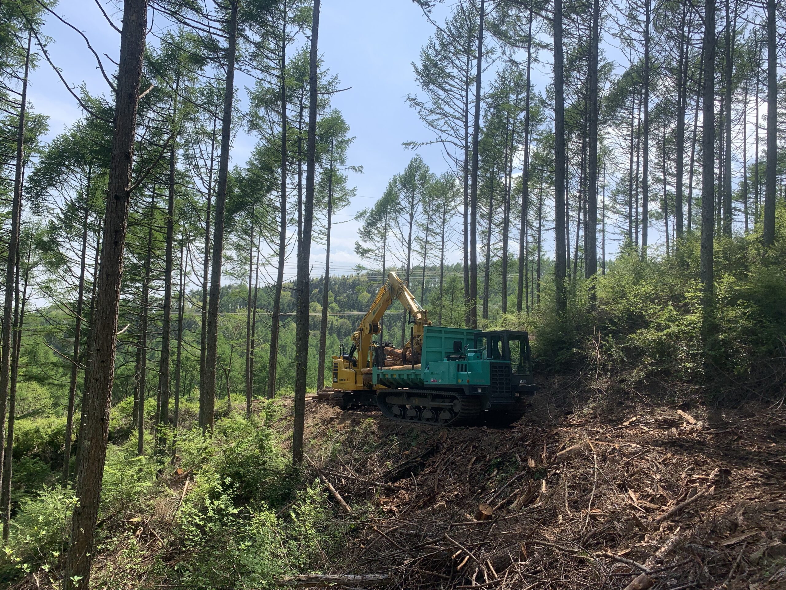 木々の間のショベル