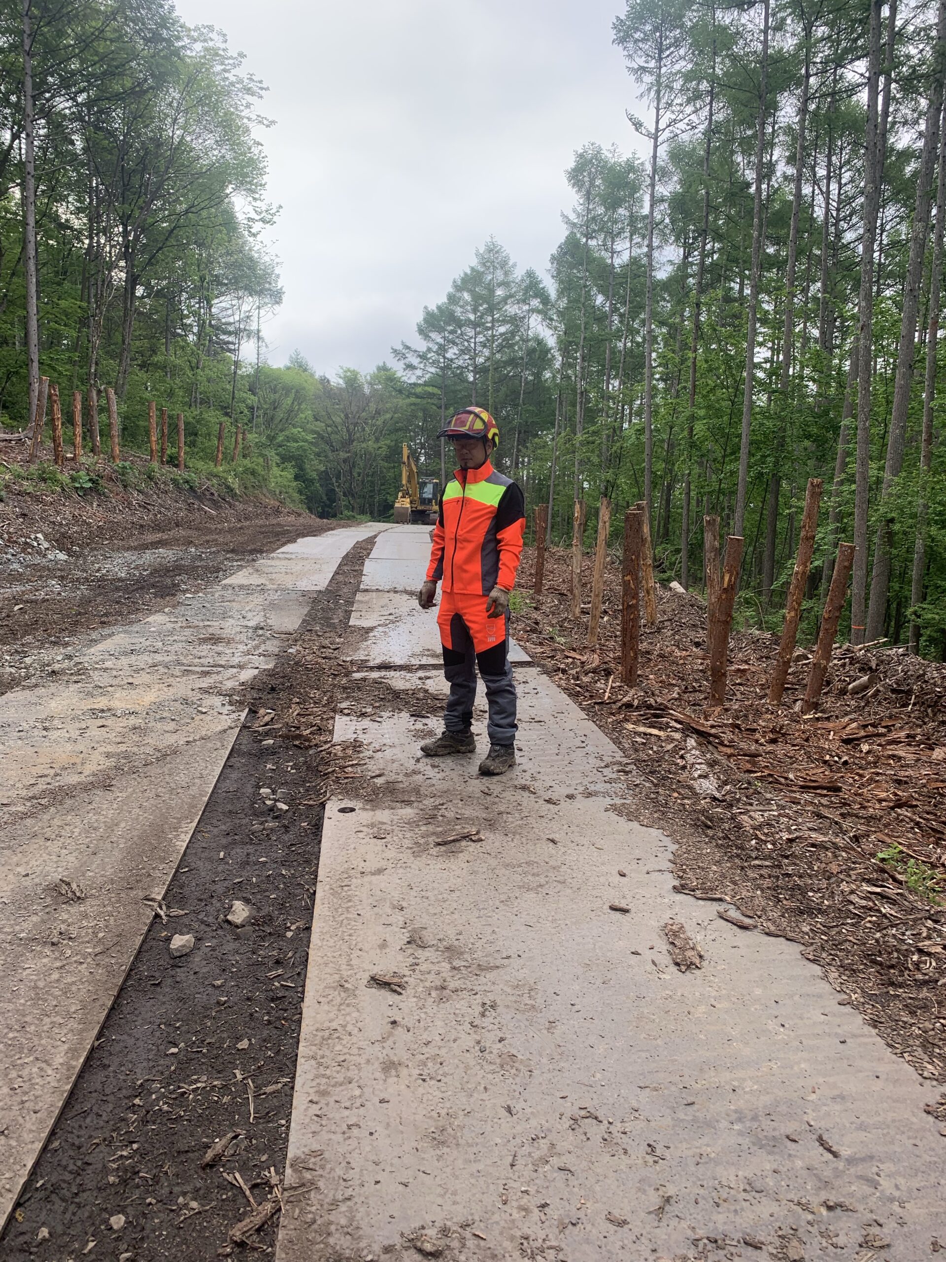 林業協力会社が享受できる多様な事業チャンスとは